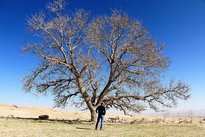 Rear view of man standing in front of bare tree on field against sky