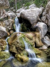 Scenic view of waterfall in forest