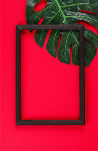 Close-up of palm leaf on red wall