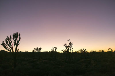 Silhouette trees against sky during sunset