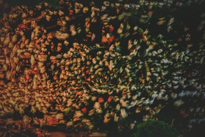 High angle view of people on plants