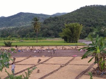 Scenic view of field against sky