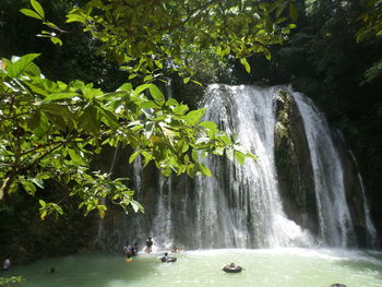 Scenic view of waterfall in forest