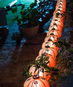 Low angle view of potted plants