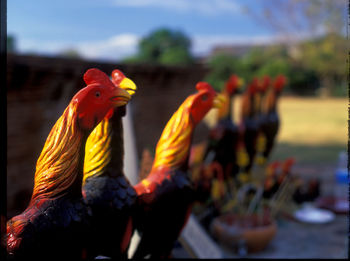 Close-up of crowd at music concert