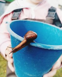 Close-up of person holding stick