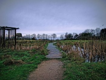 Narrow pathway along trees on field