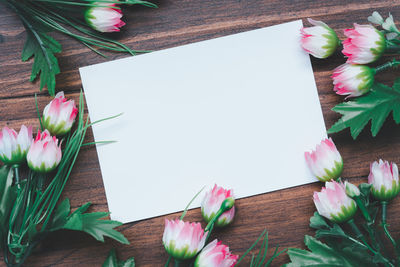 High angle view of pink flowers on table