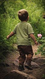 Rear view of a boy standing on rock