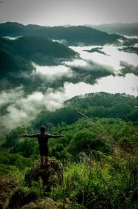 Rear view of man standing on mountain in forest