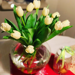 Close-up of white flowers in vase