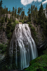 Scenic view of waterfall in forest