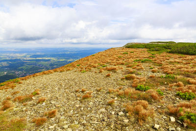 Scenic view of land against sky