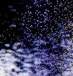 Low angle view of abstract water against black background