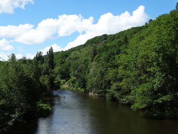 Scenic view of river amidst trees against sky