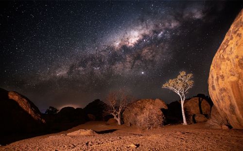 Impressive milkyway over trees and rocks in the namibian desert 
