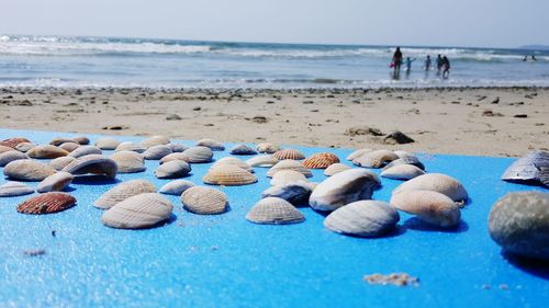 Group of people on beach