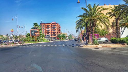 Street by palm trees and buildings against sky