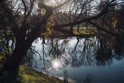 Reflection of trees in lake against sky