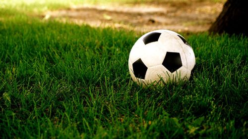 Close-up of soccer ball on grassy area