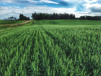 Scenic view of field against cloudy sky