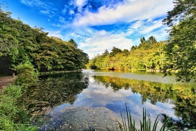 Scenic view of lake in forest against sky