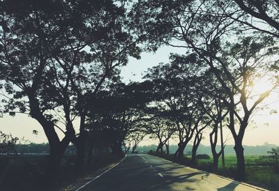 Road amidst trees against sky