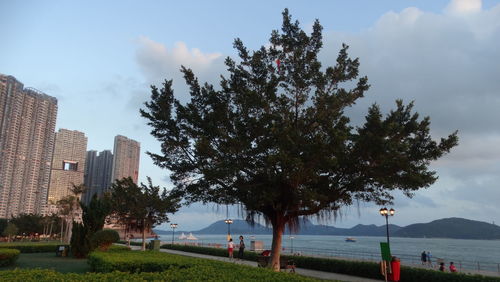 Trees and buildings against sky