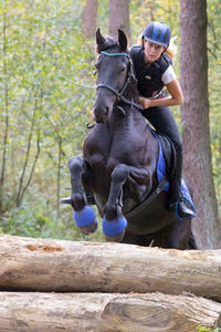 Jockey riding horse against trees in forest during training