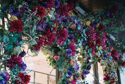 Multi colored flowers