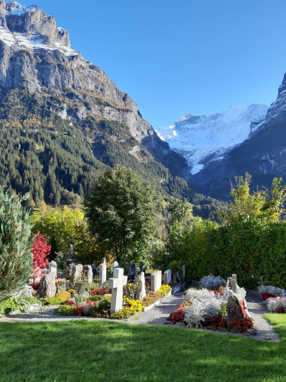 mountain, plant, beauty in nature, nature, scenics - nature, mountain range, tree, sky, day, no people, flower, architecture, grass, flowering plant, land, tranquility, clear sky, travel destinations, landscape, environment, bouquet