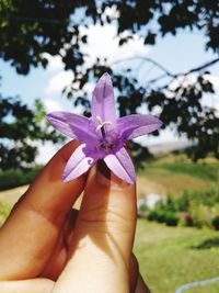 Close-up of hand holding flower