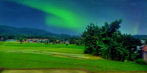 Scenic view of field against sky at night