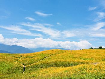 Scenic view of grassy field against sky