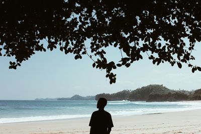 Silhouette man on beach against sky
