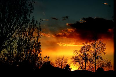 Low angle view of silhouette trees against sky at sunset