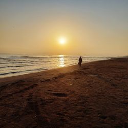 Silhouette person on beach against sky during sunset