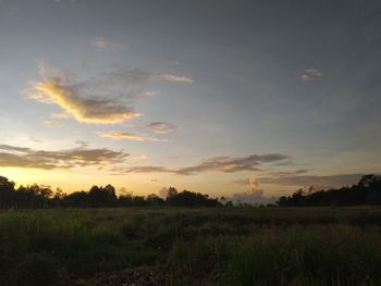 Scenic view of field against sky during sunset