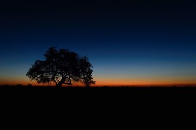 Silhouette trees on field against clear sky during sunset