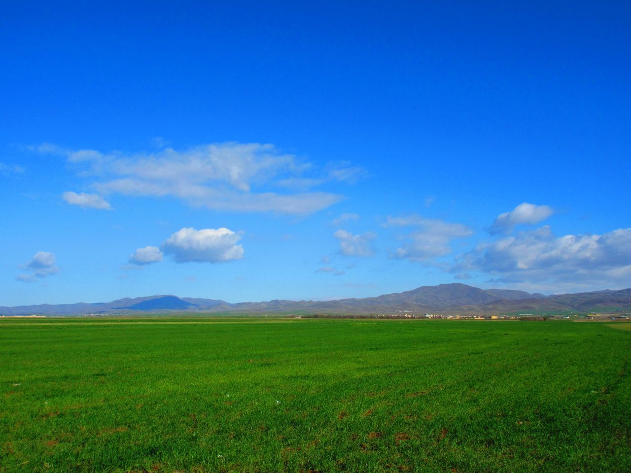 tranquil scene, landscape, tranquility, scenics, sky, blue, beauty in nature, grass, field, mountain, nature, green color, cloud, growth, idyllic, horizon over land, non-urban scene, grassy, cloud - sky, mountain range