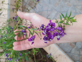Cropped hand of woman holding plant
