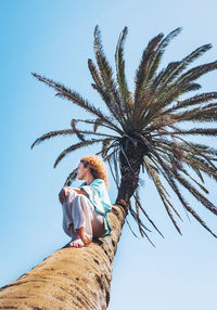 Low angle view of palm tree against clear sky