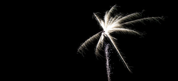 Firework display over black background
