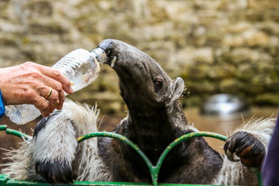 Close-up of hand holding drinking water