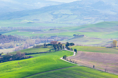 landscape