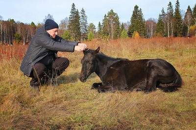 Horses on field against trees