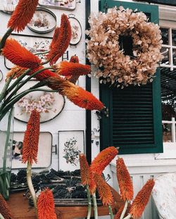 Close-up of flower pots hanging on plant