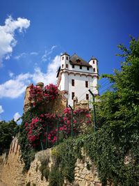 Low angle view of flowering plants by building against sky