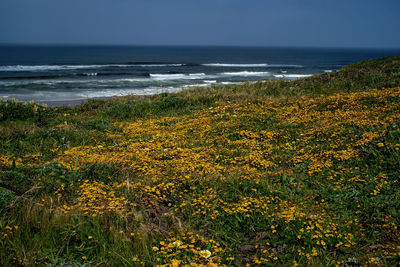 Scenic view of sea against sky