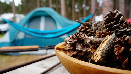 Close-up of bowl of pinecones on table at campsite